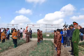 Hải Dương: Hành, tỏi Kinh Môn đạt thương hiệu vàng nông nghiệp Việt Nam