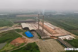 Công ty Cổ phần Vân Đức hoạt động không đúng chủ trương đầu tư là có cơ sở