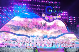 Lễ khai mạc Festival Hoa Đà Lạt 2024 có gì đặc biệt?  