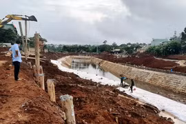 Nam Định: Tăng cường công tác đảm bảo an toàn công trình thuỷ lợi, đê điều trong mùa mưa, lũ năm 2024