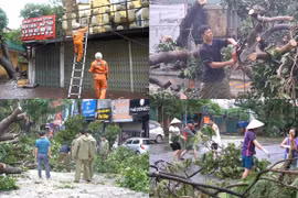 Hà Nội: Tích cực khắc phục hậu quả sau bão