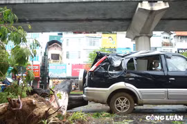 Hà Nội: Hàng loạt ô tô bị cây xanh "đè bẹp" sau bão số 3