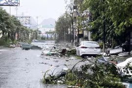 Bão số 3 khiến 14 người chết, 176 người bị thương và hàng trăm ngôi nhà thiệt hại