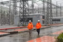 EVNNPT đang khẩn trương khắc phục lưới truyền tải điện do bão số 3 gây ra