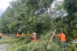 Hà Nội: Nỗ lực khắc phục các sự cố về hạ tầng giao thông do bão số 3 gây ra