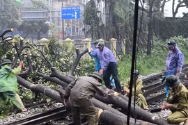 Nhiều đoàn tàu bị hủy, chậm giờ do ảnh hưởng của bão số 3