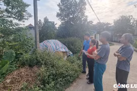 Chương Mỹ (Hà Nội): Nhiều hộ dân xã Hồng Phong 'mòn mỏi' chờ được cấp 'sổ đỏ'?
