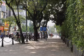 Hà Nội: Điều chỉnh giao thông phố Quốc Tử Giám để thi công đường sắt đô thị