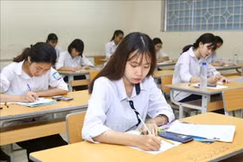 Đề thi tốt nghiệp THPT 2024 môn Sinh học, mã đề 204