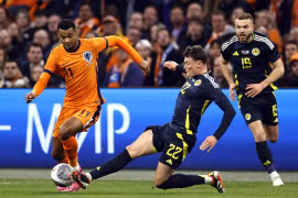 Nhận định Ba Lan - Hà Lan, 20h00 ngày 16/6, lượt trận đầu bảng D EURO 2024