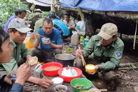 Thường trực HĐND tỉnh Gia Lai đề nghị gỡ khó cho lực lượng bảo vệ rừng