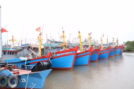 Nhiều tàu cá của Nam Định vẫn còn tình trạng mất tín hiệu kết nối trên biển