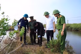 Nam Định: Chiếm 21.444,6 m2 đất công ở Cồn Xanh, người đàn ông bị phạt 175 triệu đồng