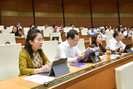 Không cần thiết lập quy hoạch chung cấp xã mà tích hợp trong quy hoạch chung cấp tỉnh