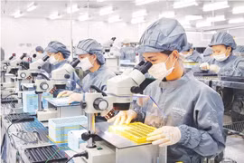 735.000 lượt công nhân lao động sử dụng gói hỗ trợ tín dụng 20.000 tỉ đồng