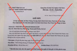 Gia Lai: Mạo danh cán bộ, cơ quan thuế để lừa đảo, chiếm đoạt tài sản