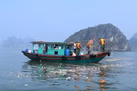 Vịnh Hạ Long ngập rác sau bão Yagi, môi trường di sản bị đe dọa nghiêm trọng