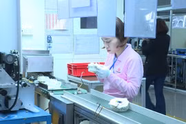 Thái Bình: Tổng kim ngạch xuất nhập khẩu hàng hóa 6 tháng đầu năm 2024 ước đạt 2.200 triệu USD
