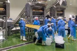 Báo lãi trăm tỷ mỗi năm nhưng Nafoods (NAF) đã 5 năm chưa chia cổ tức vì sao?