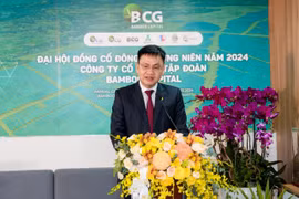 Bamboo Capital (BCG) mục tiêu lợi nhuận tăng 6 lần, đưa Bảo hiểm AAA lên UPCoM