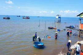 Vẻ đẹp hoang sơ, mộc mạc của biển Cồn Bửng, Bến Tre