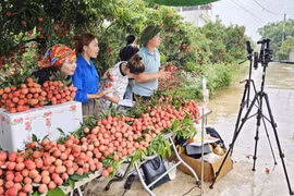 Nông sản tìm được 'đất sống' trên các 'chợ mạng'