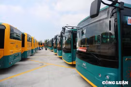 Giao diện độc đáo của 17 tuyến buýt điện kết nối metro số 1 TP HCM