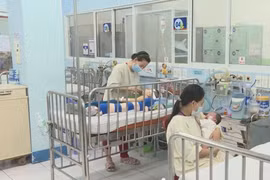 Chủ động phòng, chống dịch bệnh mùa Đông xuân