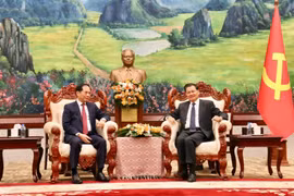 Phó Thủ tướng, Bộ trưởng Bộ Ngoại giao Bùi Thanh Sơn hội kiến lãnh đạo cấp cao Lào