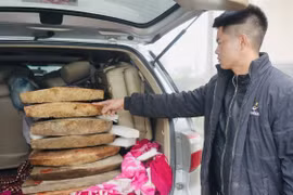 Lào Cai: Phát hiện một xe du lịch chở gỗ cấm khai thác lúc rạng sáng