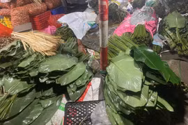 Cận Tết, lá dong khan hiếm tại chợ, giá cao gấp 3 vẫn không đủ hàng bán