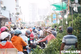 TP HCM: Chợ Hoa xuân 'Trên bến dưới thuyền' vẫn hút khách ngày cận Tết
