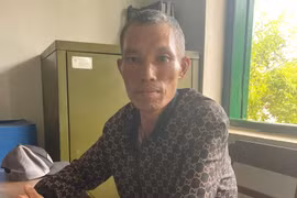 Kon Tum: Đối tượng cưa hạ hàng trăm m3 gỗ ở rừng cổ thụ ra đầu thú
