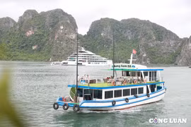 Cẩm nang Lonely Planet gợi ý trải nghiệm 'phải thử' tại vịnh Hạ Long