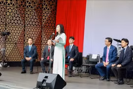 Khai mạc Lễ hội Việt Nam tại thủ đô Tokyo của Nhật Bản