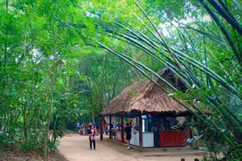 Hoàn thiện hồ sơ đề nghị UNESCO công nhận địa đạo Củ Chi là Di sản Thế giới