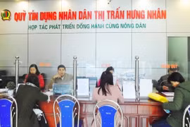 Chính phủ quy định điều kiện cấp giấy phép đối với quỹ tín dụng nhân dân