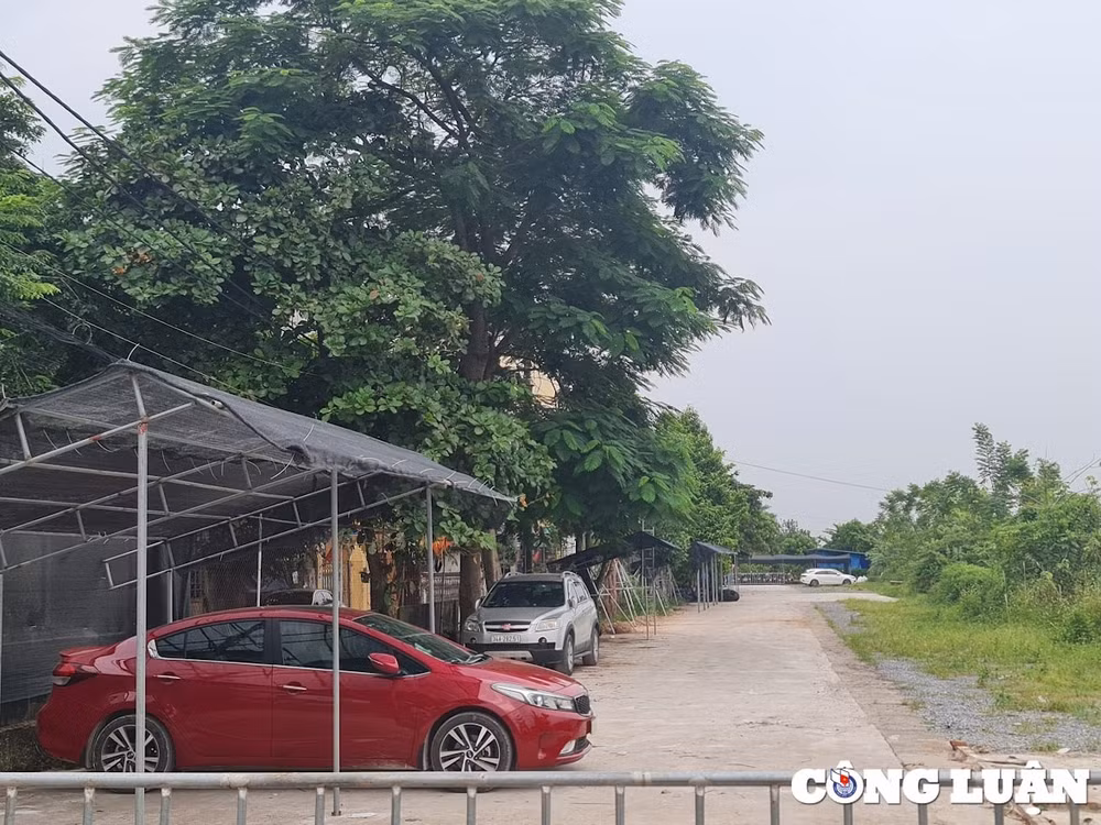 bai 2 nup bong hop dong kinh te lap bai xe trai phep tren hanh lang bao ve cong trinh thuy loi hinh 3