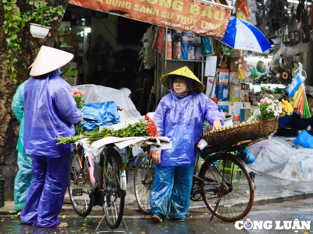 nhung hinh anh dep trong ngay phu nu viet nam 20 10 hinh 8
