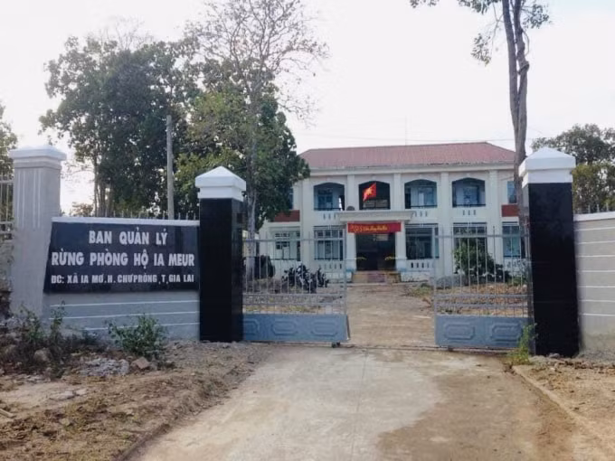 tong cuc lam nghiep vao cuoc vu nhan vien bao ve rung bi hanh hung o gia lai hinh 2