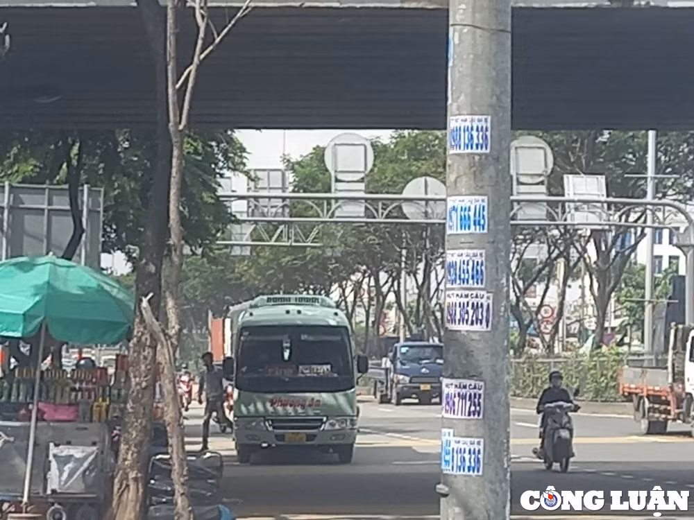 sau chi thi cua so gtvt tp hcm nan ben coc xe du van nhu diec khong so sung hinh 6
