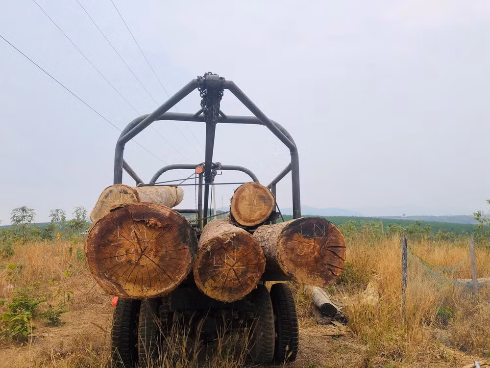 kon tum de lam tac cua ha gan 70m3 go 2 nhan vien bao ve rung bi bat tam giam hinh 2