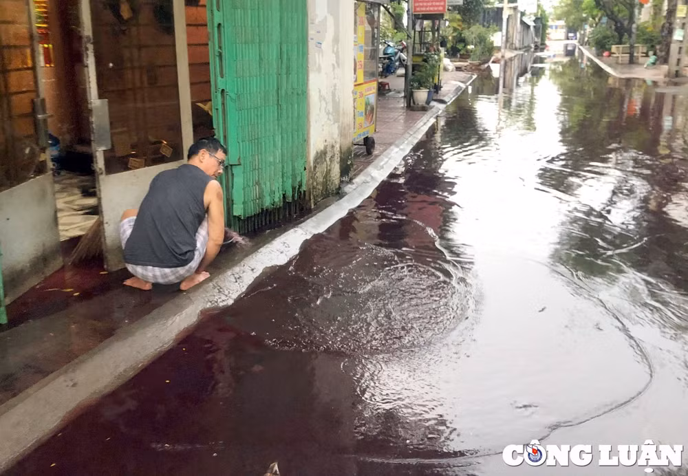 hai con duong o tp hcm bi nhuom do ngau sau mua lon gay ngap hinh 10