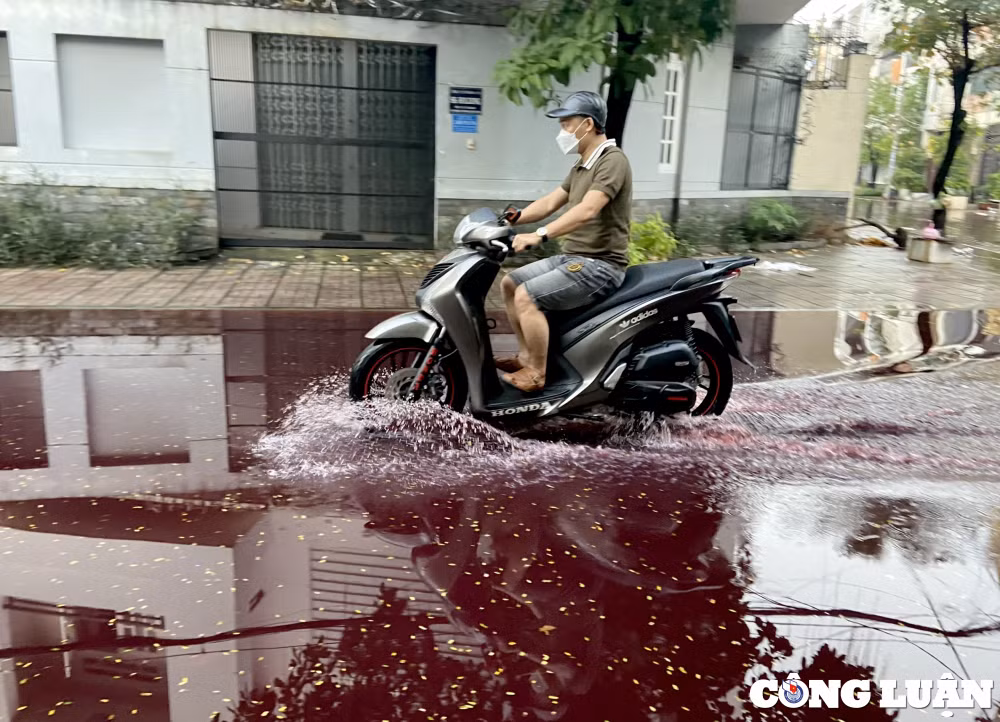 hai con duong o tp hcm bi nhuom do ngau sau mua lon gay ngap hinh 8