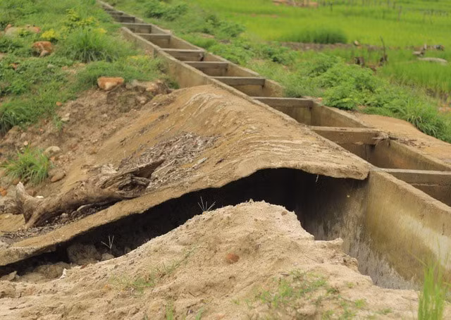 cam 1 doanh nghiep tham gia dau thau trong 3 nam tai gia lai hinh 1