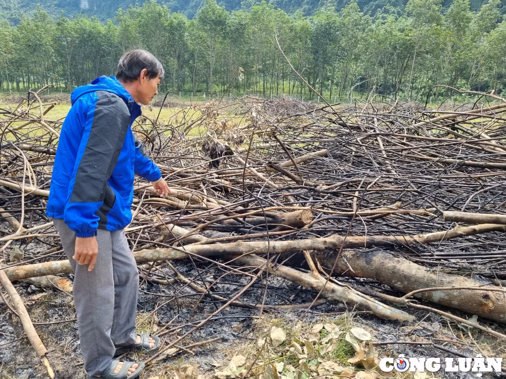 tan ky nghe an nguoi dan keu cuu vi bi chinh quyen cuong che vuon cao su 14 nam tuoi hinh 7