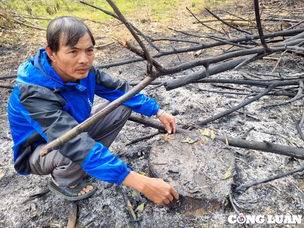 tan ky nghe an nguoi dan keu cuu vi bi chinh quyen cuong che vuon cao su 14 nam tuoi hinh 4