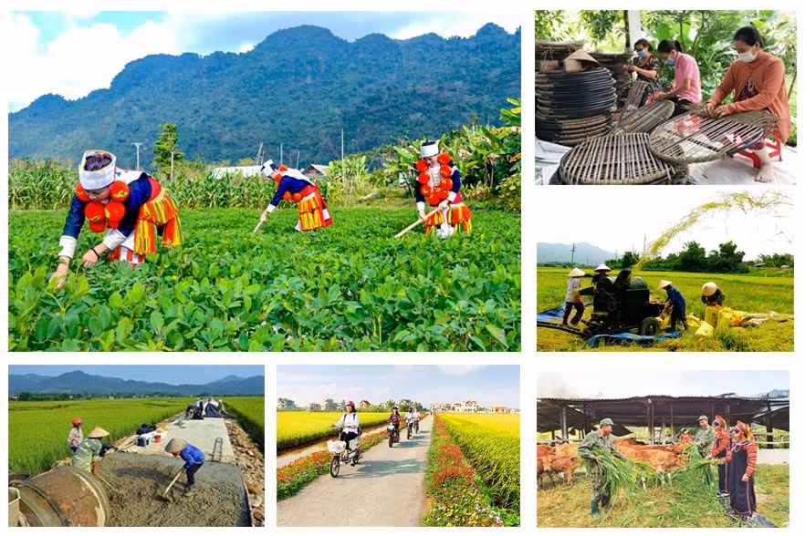 can quyet liet tu trung uong toi dia phuong de trien khai thuc hien 3 chuong trinh muc tieu quoc gia hinh 2