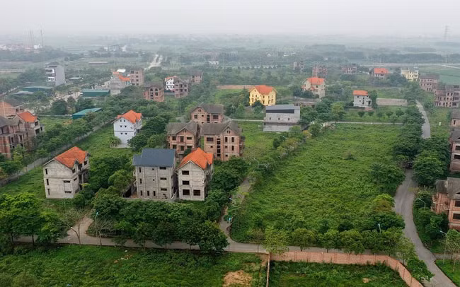 pgs ts bui thi an co chuyen moc noi lay dat gia re roi om dat cho len gia huong loi hinh 1