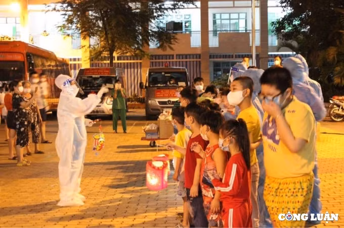 nu tinh nguyen vien cham soc cho meo cho benh nhan f0 hinh 2